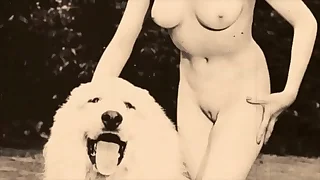 940 hairy porn videos